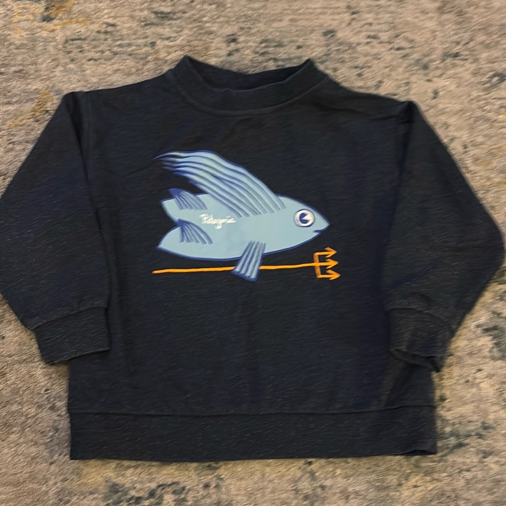 Patagonia Boys Blue Sweater